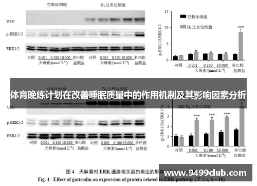 体育晚练计划在改善睡眠质量中的作用机制及其影响因素分析